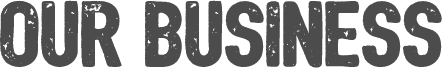 OUR BUSINESS